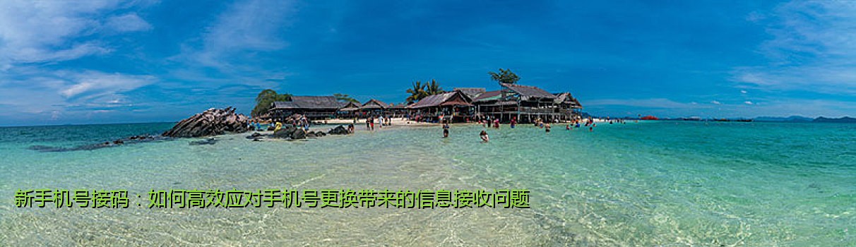 新手机号接码：如何高效应对手机号更换带来的信息接收问题