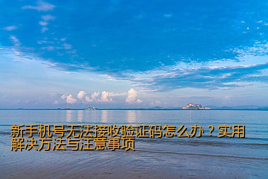 新手机号无法接收验证码怎么办？实用解决方法与注意事项