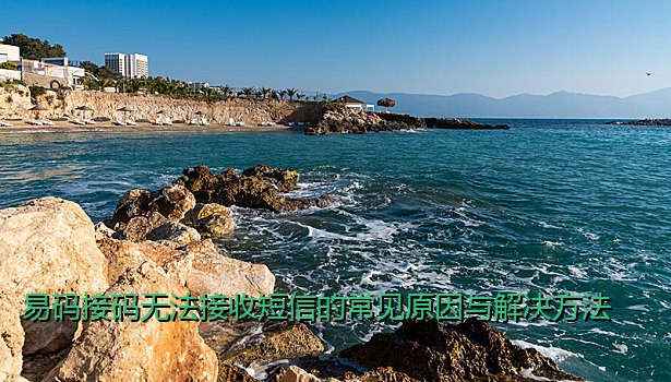 易码接码无法接收短信的常见原因与解决方法