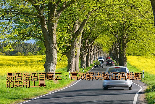 易码接码百度云：高效解决验证码难题的实用工具