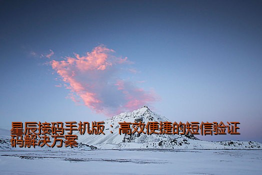 星辰接码手机版：高效便捷的短信验证码解决方案