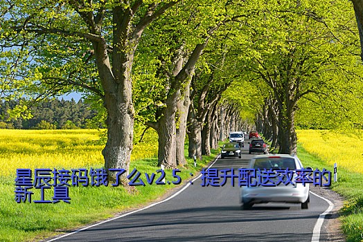 星辰接码饿了么v2.5：提升配送效率的新工具