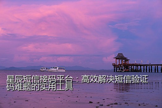 星辰短信接码平台：高效解决短信验证码难题的实用工具