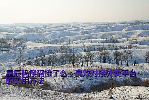 星辰码接码饿了么：高效对接外卖平台的实用方法