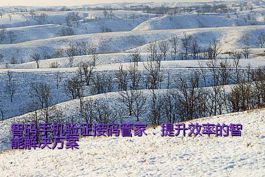 智码手机验证接码管家：提升效率的智能解决方案