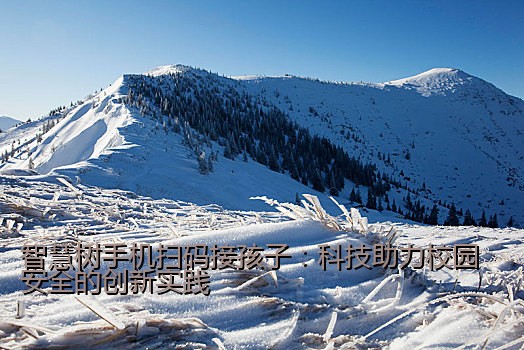 智慧树手机扫码接孩子：科技助力校园安全的创新实践