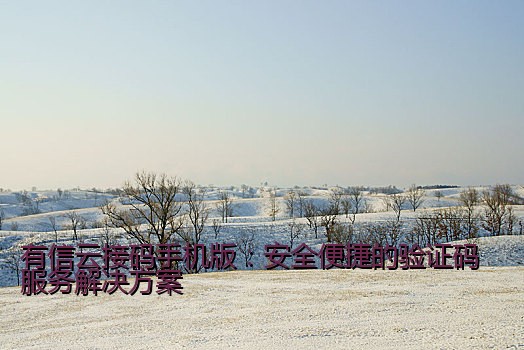 有信云接码手机版：安全便捷的验证码服务解决方案