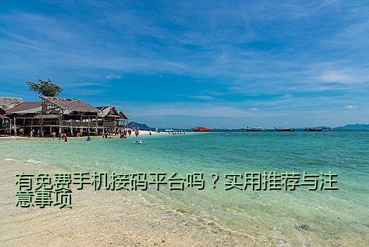 有免费手机接码平台吗？实用推荐与注意事项
