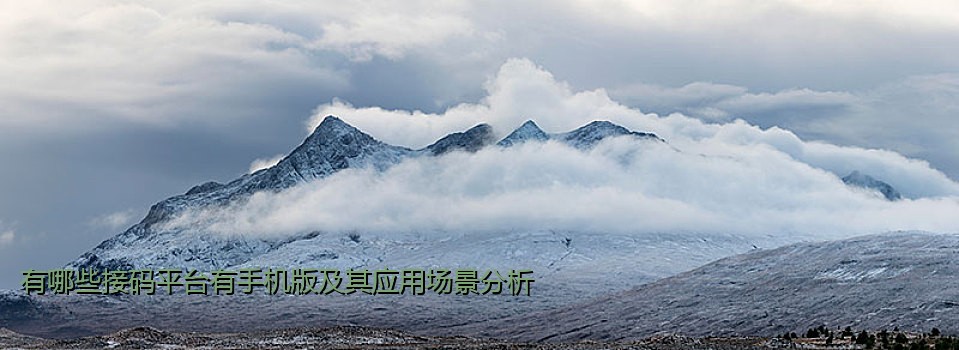 有哪些接码平台有手机版及其应用场景分析