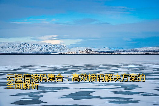 云短信接码集合：高效接码解决方案的全面解析