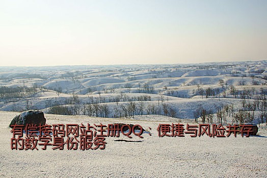 有偿接码网站注册QQ：便捷与风险并存的数字身份服务