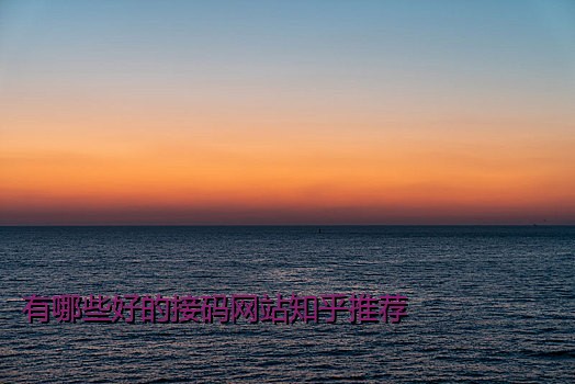 有哪些好的接码网站知乎推荐