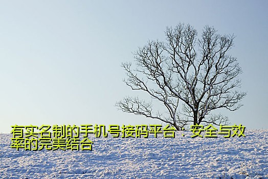 有实名制的手机号接码平台：安全与效率的完美结合