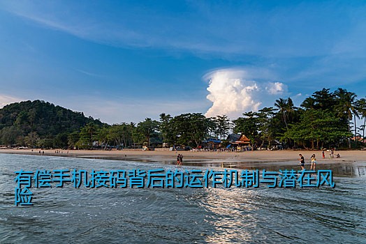 有偿手机接码背后的运作机制与潜在风险