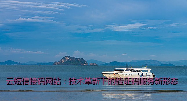 云短信接码网站：技术革新下的验证码服务新形态