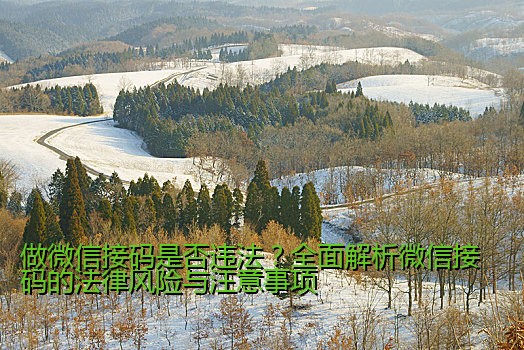 做微信接码是否违法？全面解析微信接码的法律风险与注意事项