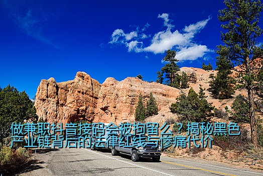 做兼职抖音接码会被拘留么？揭秘黑色产业链背后的法律红线与惨痛代价