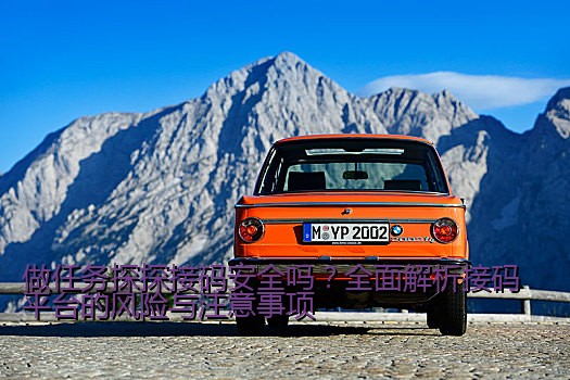 做任务探探接码安全吗？全面解析接码平台的风险与注意事项