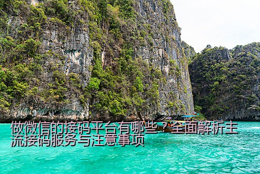 做微信的接码平台有哪些？全面解析主流接码服务与注意事项