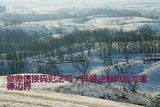 做微信接码犯法吗？详解法律风险与道德边界