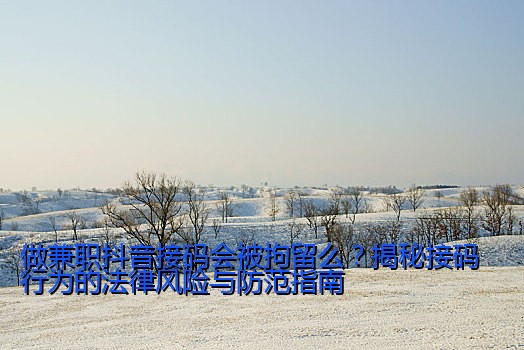 做兼职抖音接码会被拘留么？揭秘接码行为的法律风险与防范指南