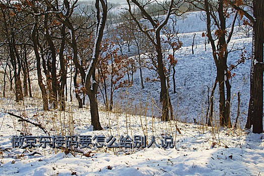 做京东接码要怎么给别人说