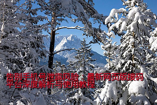 告别手机号泄露风险：最新网页版接码平台深度解析与使用教程