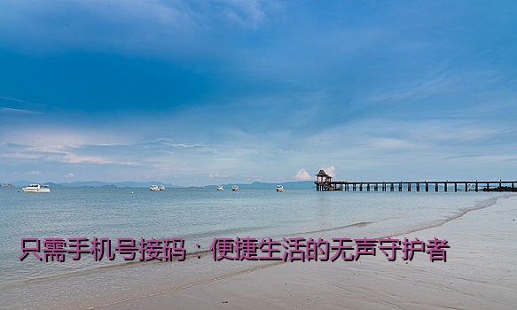 只需手机号接码：便捷生活的无声守护者