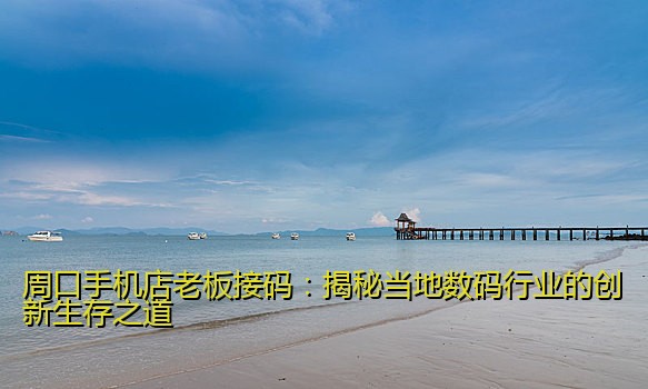 周口手机店老板接码：揭秘当地数码行业的创新生存之道