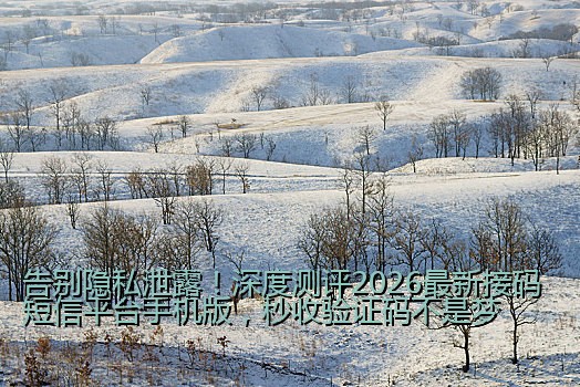 告别隐私泄露！深度测评2026最新接码短信平台手机版，秒收验证码不是梦