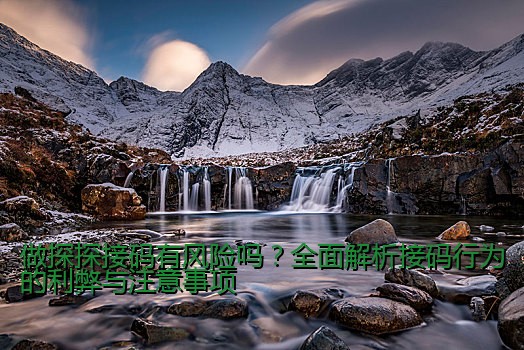 周二珂百度云接码：揭秘背后的技术与应用