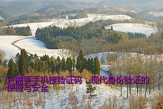 只需要手机接验证码：现代身份验证的便捷与安全