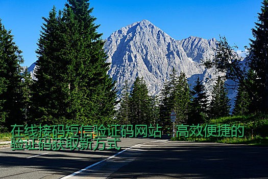 在线接码短信验证码网站：高效便捷的验证码获取新方式