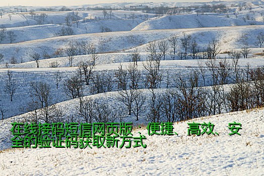 在线接码短信网页版：便捷、高效、安全的验证码获取新方式