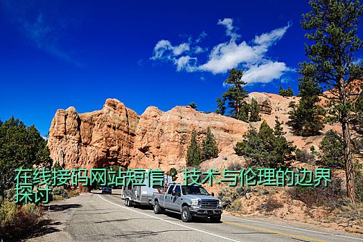 在线接码网站短信：技术与伦理的边界探讨