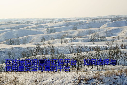 在线接码短信验证码平台：如何选择与使用最安全可靠的平台