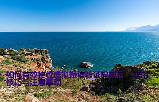 如何有效接收虚拟短信验证码电话：实用技巧与注意事项
