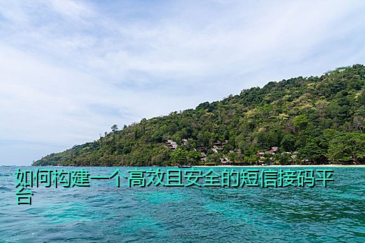 如何构建一个高效且安全的短信接码平台