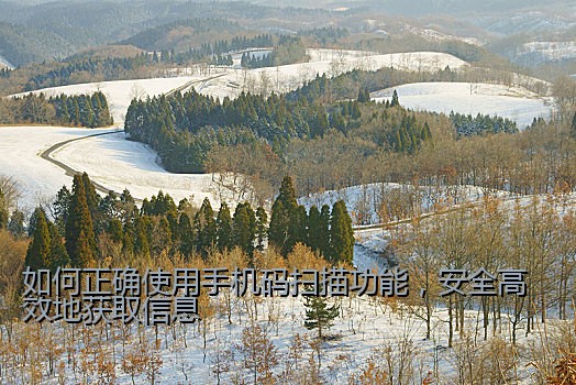 如何正确使用手机码扫描功能，安全高效地获取信息