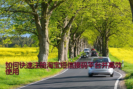 如何快速注册淘宝短信接码平台并高效使用