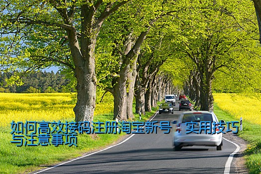 如何高效接码注册淘宝新号：实用技巧与注意事项