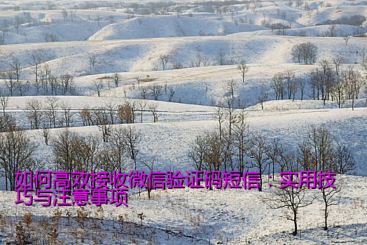 如何高效接收微信验证码短信：实用技巧与注意事项
