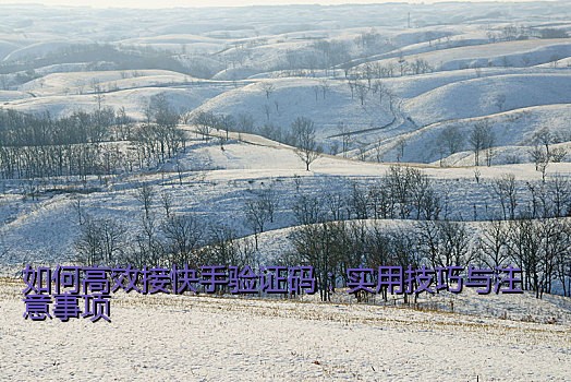 如何高效接快手验证码：实用技巧与注意事项