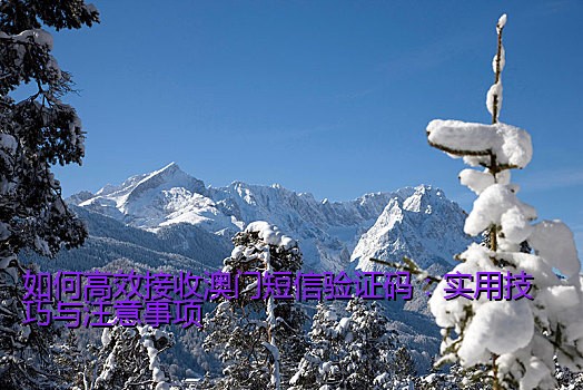 如何高效接收澳门短信验证码：实用技巧与注意事项