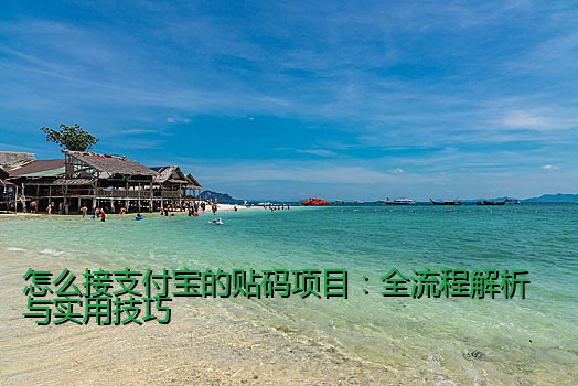 怎么接支付宝的贴码项目：全流程解析与实用技巧