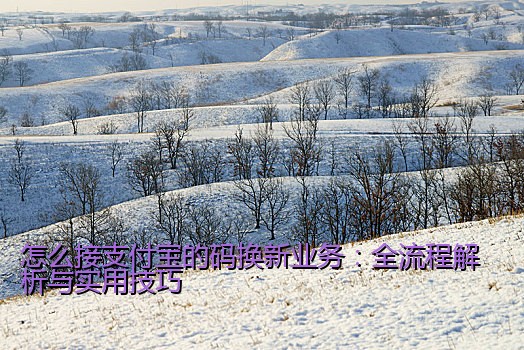 怎么接支付宝的码换新业务：全流程解析与实用技巧