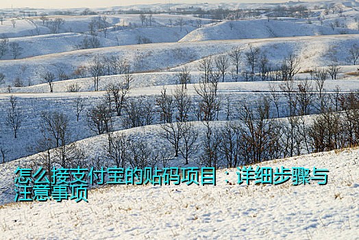 怎么接支付宝的贴码项目：详细步骤与注意事项