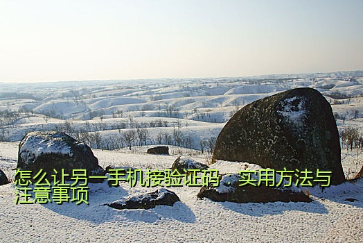 怎么让另一手机接验证码：实用方法与注意事项