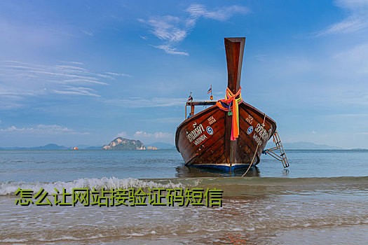怎么让网站接验证码短信