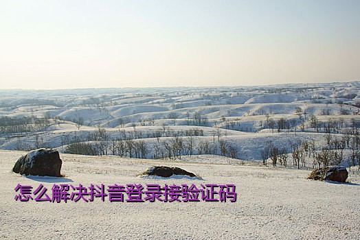 怎么解决抖音登录接验证码